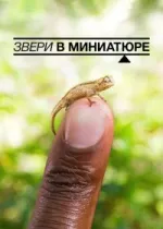 Звери в миниатюре